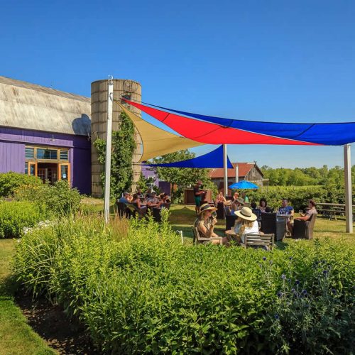 Closson Chase Vineyard Prince Edward County